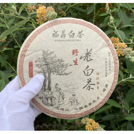 Белый чай старый Fuding Dabaicha 2015 года блин 357 г